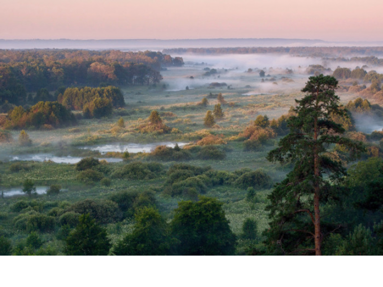 Russian Nature