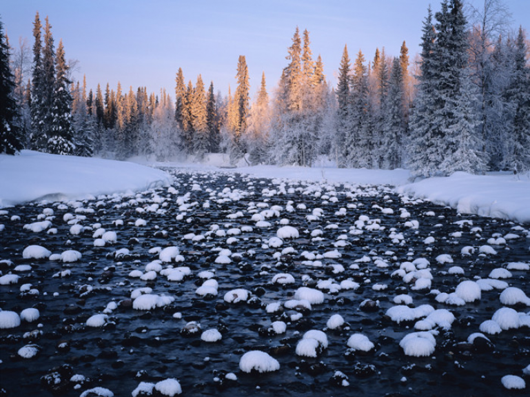 Russian Nature